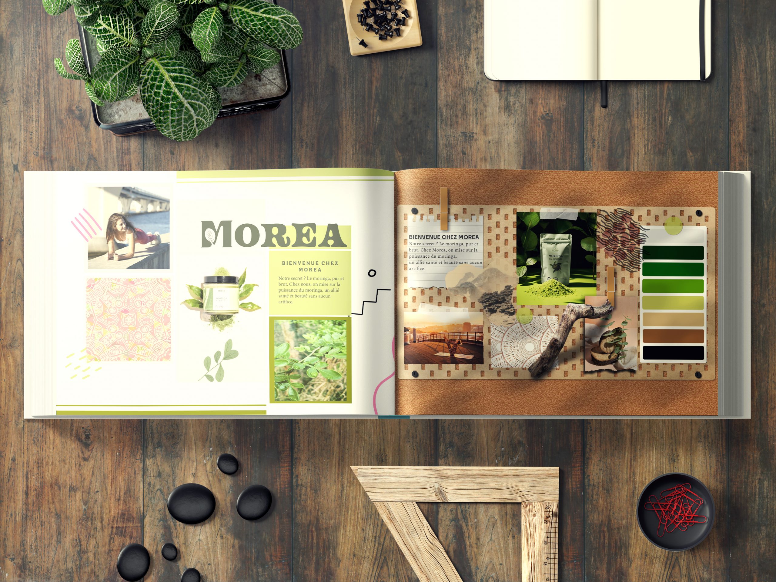 moodboard charte graphique logo moringa produits naturels